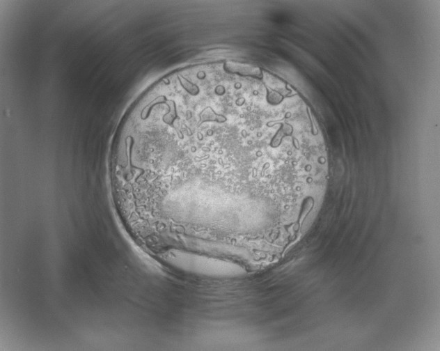 X0000064731055200603031637