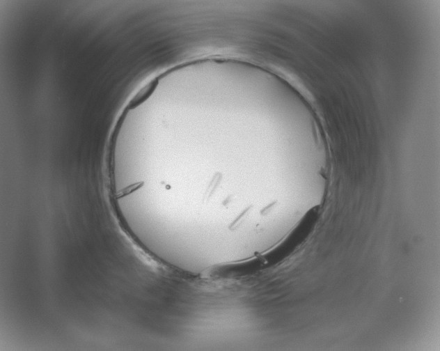 X0000064731056200603031637