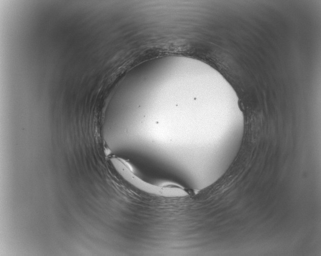 X0000064731058200603031636