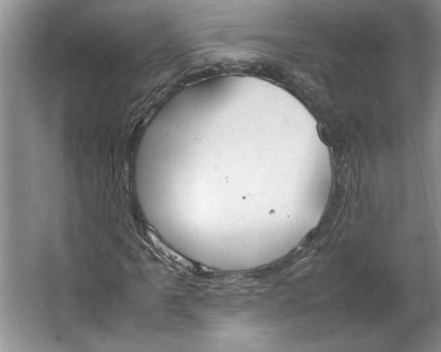 X0000064731061200603031636