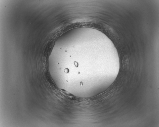 X0000064731062200603031636