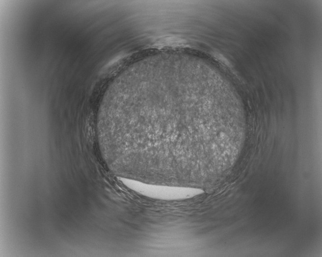 X0000064731063200603031636