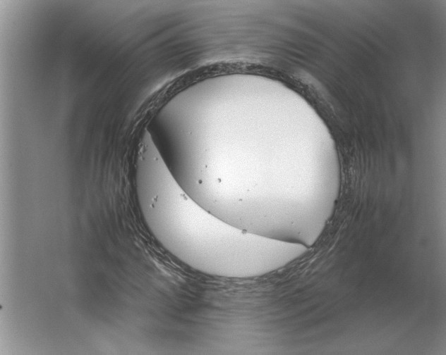 X0000064731064200603031636