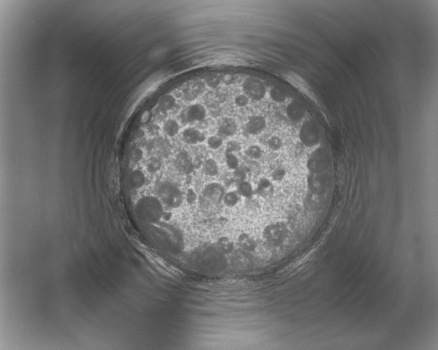 X0000064731067200603031636