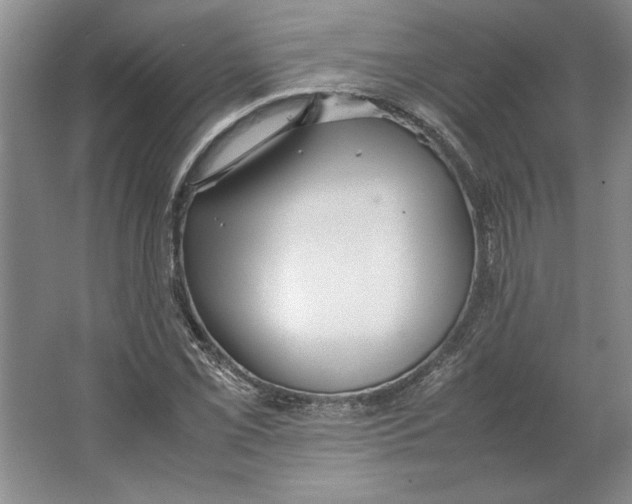 X0000064731069200603031636