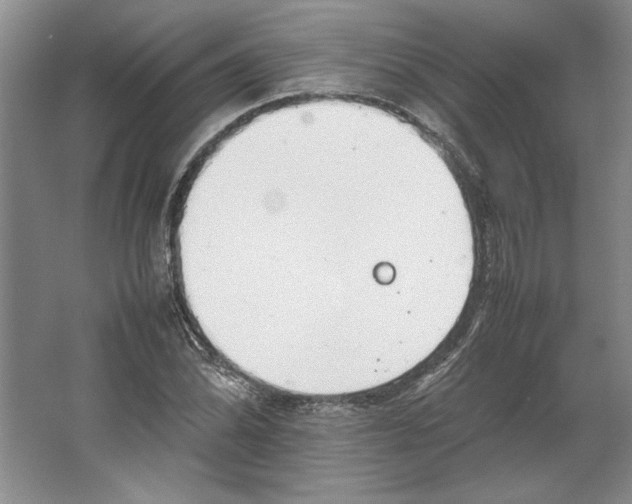 X0000064731070200603031636