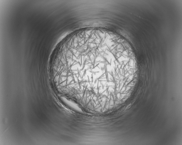 X0000064731071200603031636