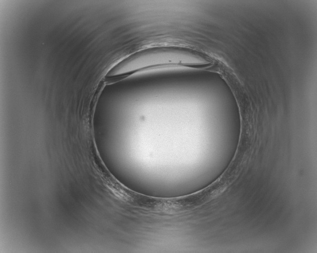 X0000064731073200603031635