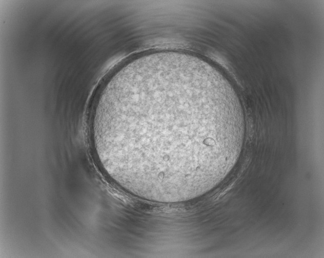 X0000064731074200603031635