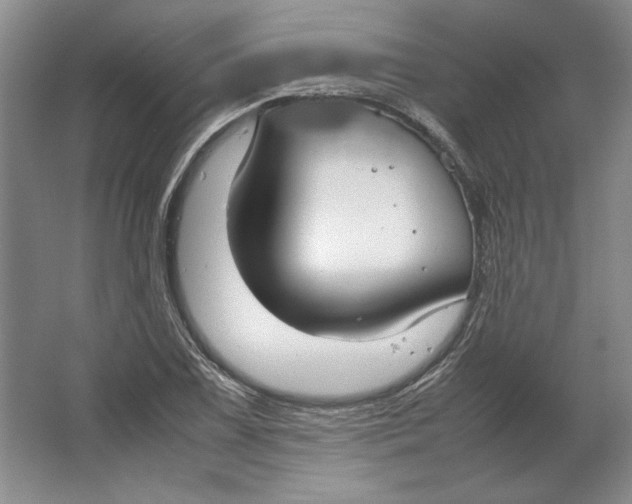 X0000064731075200603031635