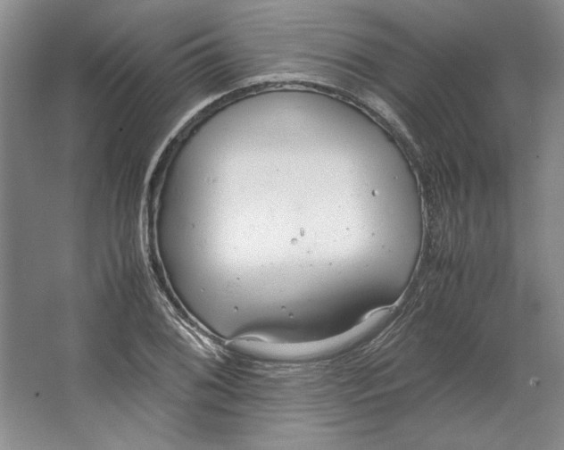 X0000064731076200603031635