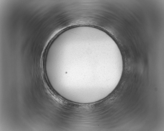 X0000064731078200603031635