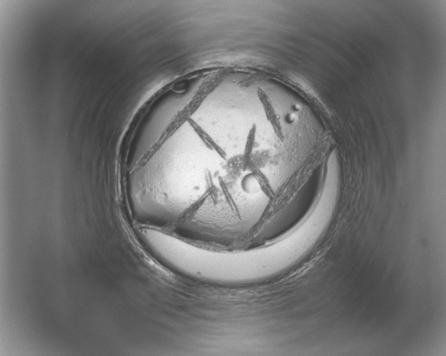 X0000064731079200603031635