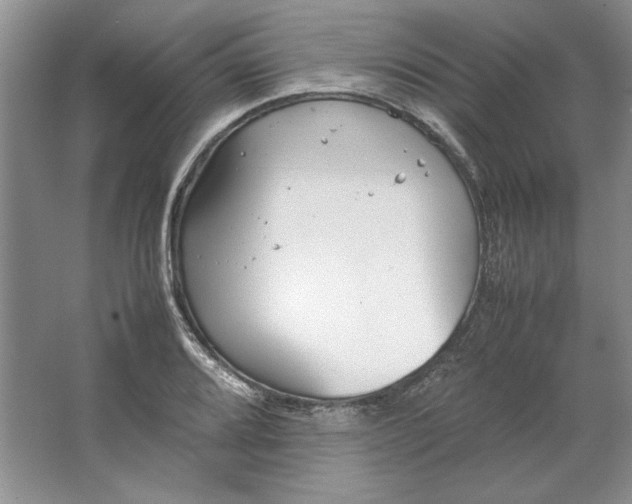 X0000064731080200603031635