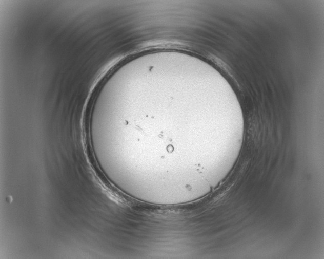 X0000064731082200603031635