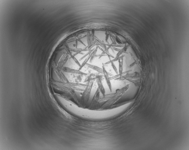 X0000064731083200603031635