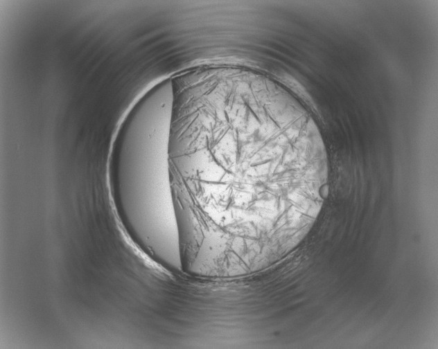 X0000064731084200603031635