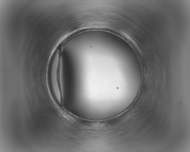 X0000064731085200603031635