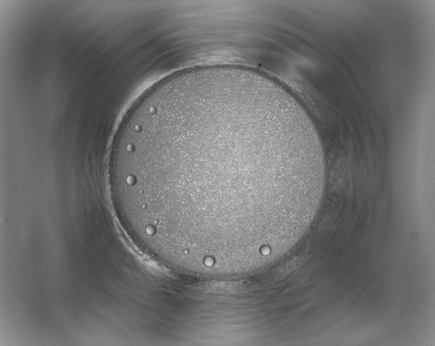 X0000064731086200603031635