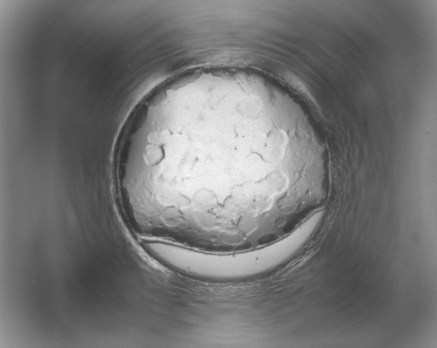 X0000064731087200603031635