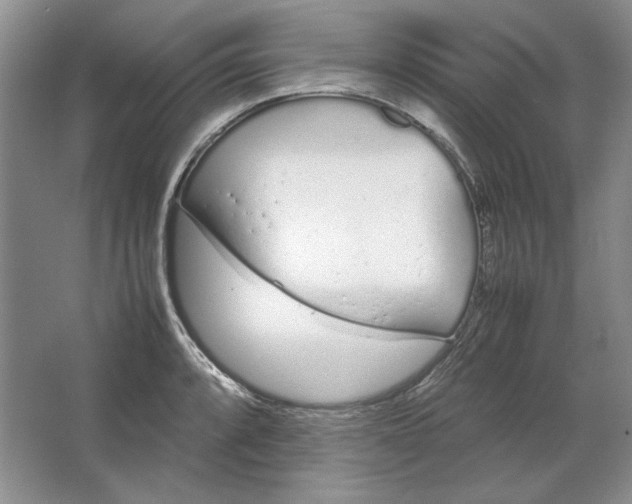 X0000064731088200603031635