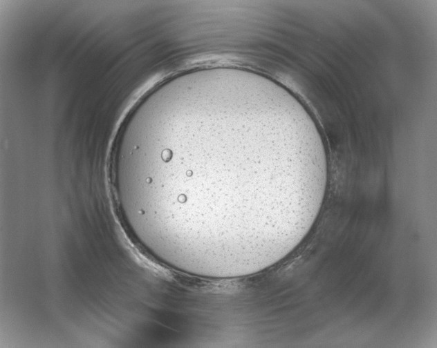 X0000064731090200603031635