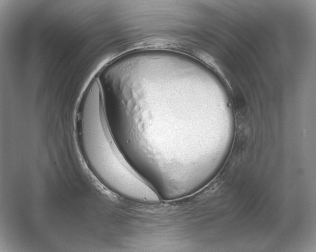 X0000064731091200603031635