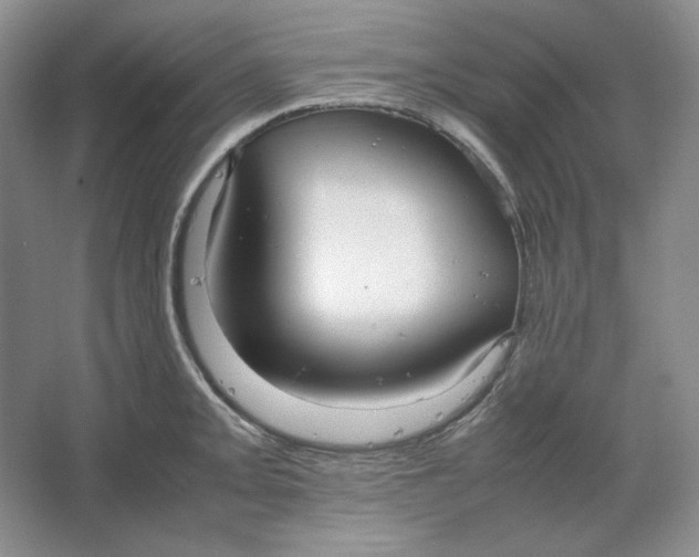 X0000064731093200603031635