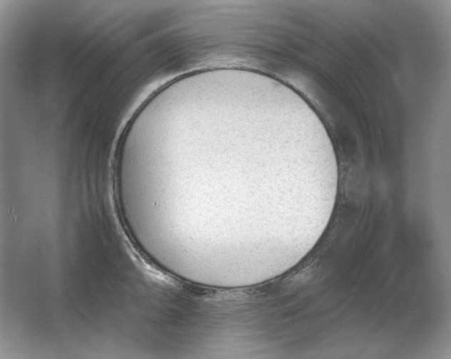 X0000064731094200603031635