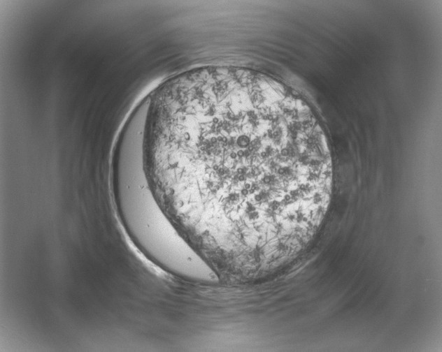 X0000064731095200603031635