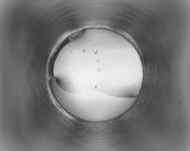 X0000064731096200603031635