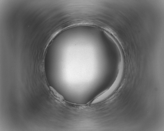 X0000064731097200603031635