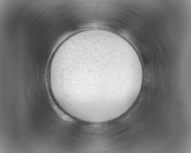 X0000064731098200603031635