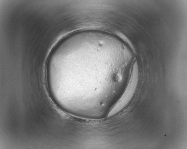 X0000064731099200603031635