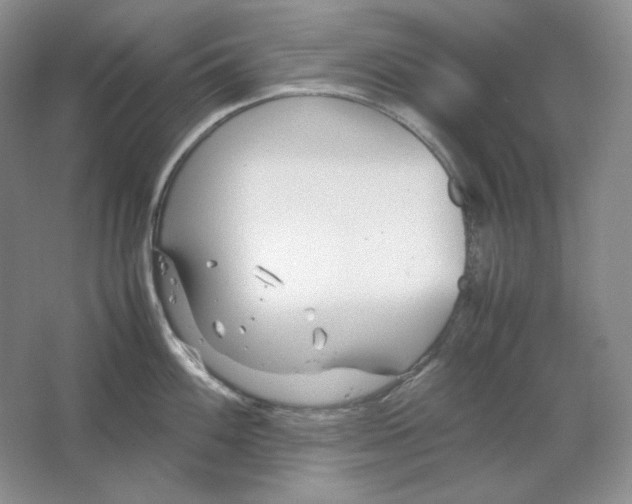 X0000064731100200603031635