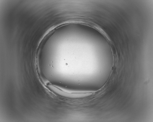 X0000064731101200603031635