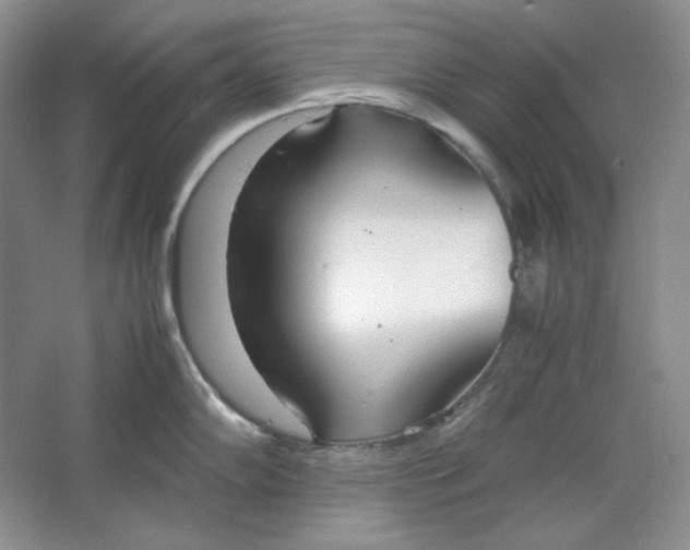 X0000064731102200603031635