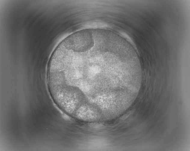 X0000064731103200603031635