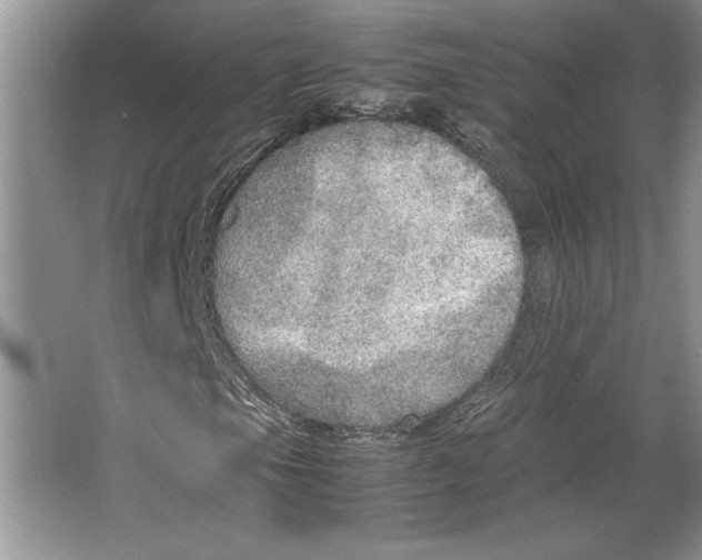 X0000064731105200603031634