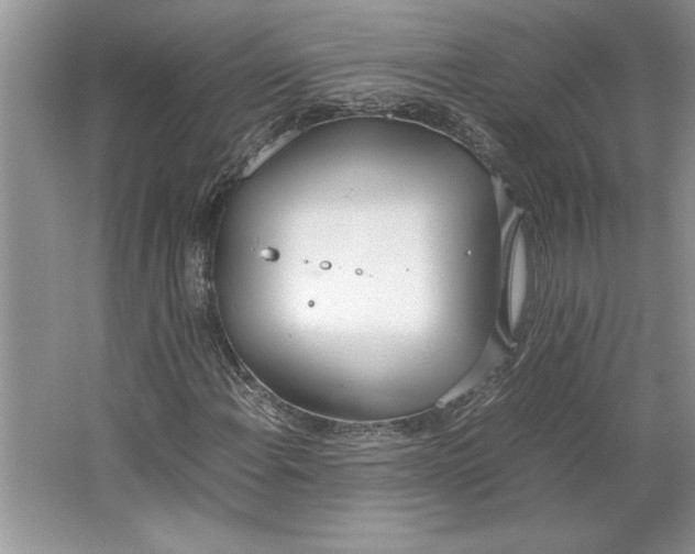 X0000064731108200603031634