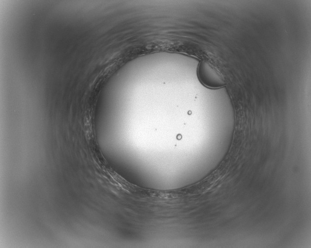 X0000064731109200603031634