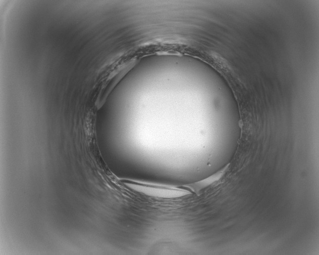 X0000064731110200603031634