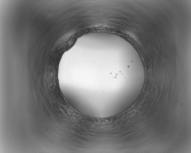 X0000064731111200603031634