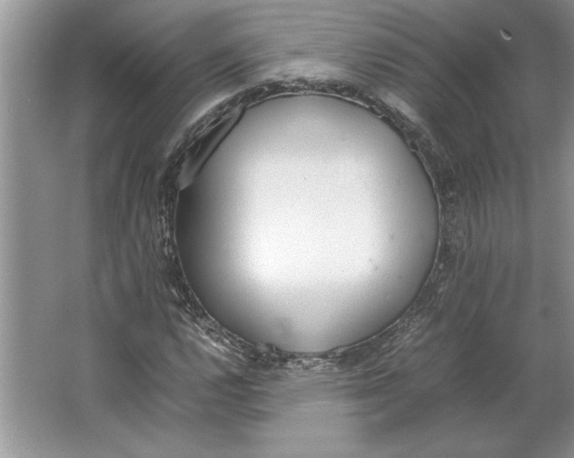 X0000064731112200603031634