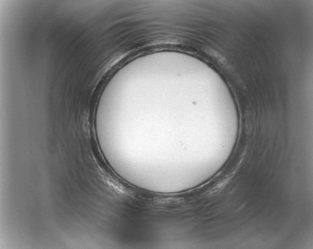 X0000064731113200603031634