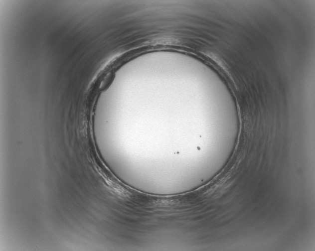 X0000064731115200603031634