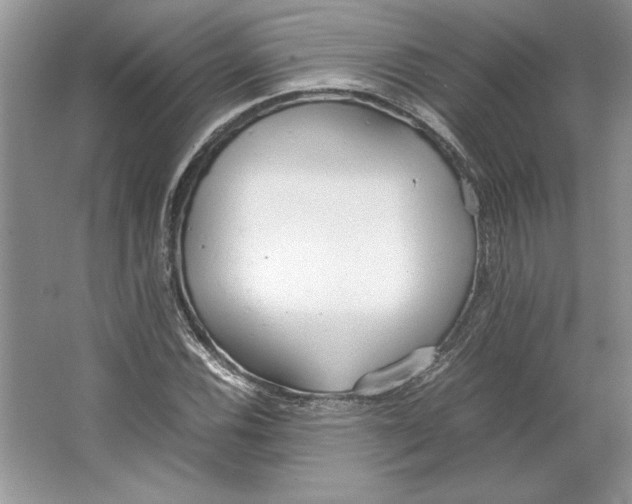 X0000064731116200603031634