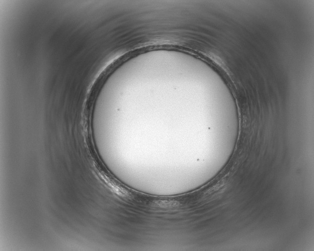 X0000064731119200603031634