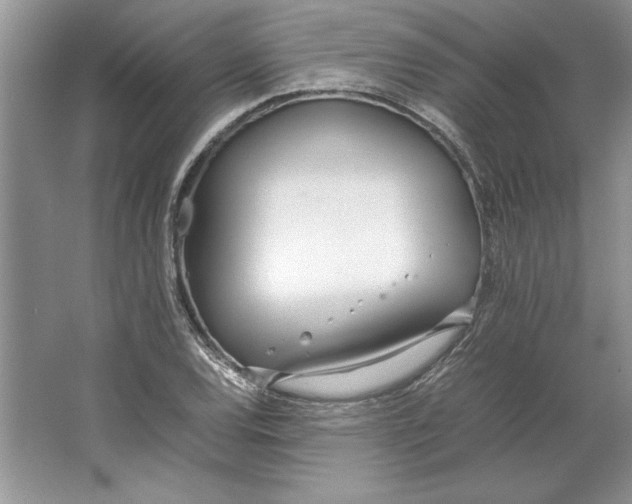 X0000064731120200603031634