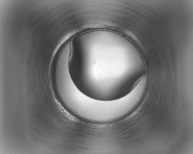 X0000064731122200603031634